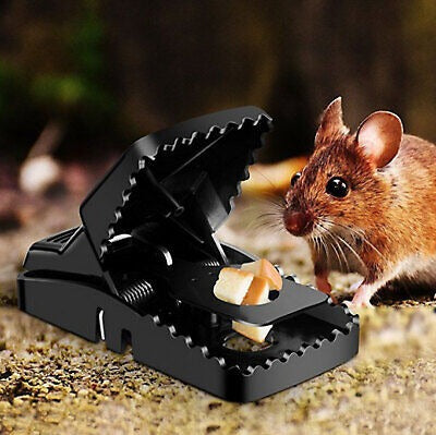 Heavy Duty Plastic Mouse Trap Reusable Rodent Catcher | No Poison No Glue Mouse Killer Trap | High Sensitivity ABS Plastic Rat Trap for Home Kitchen Store Office Indoor Outdoor Pest Control
